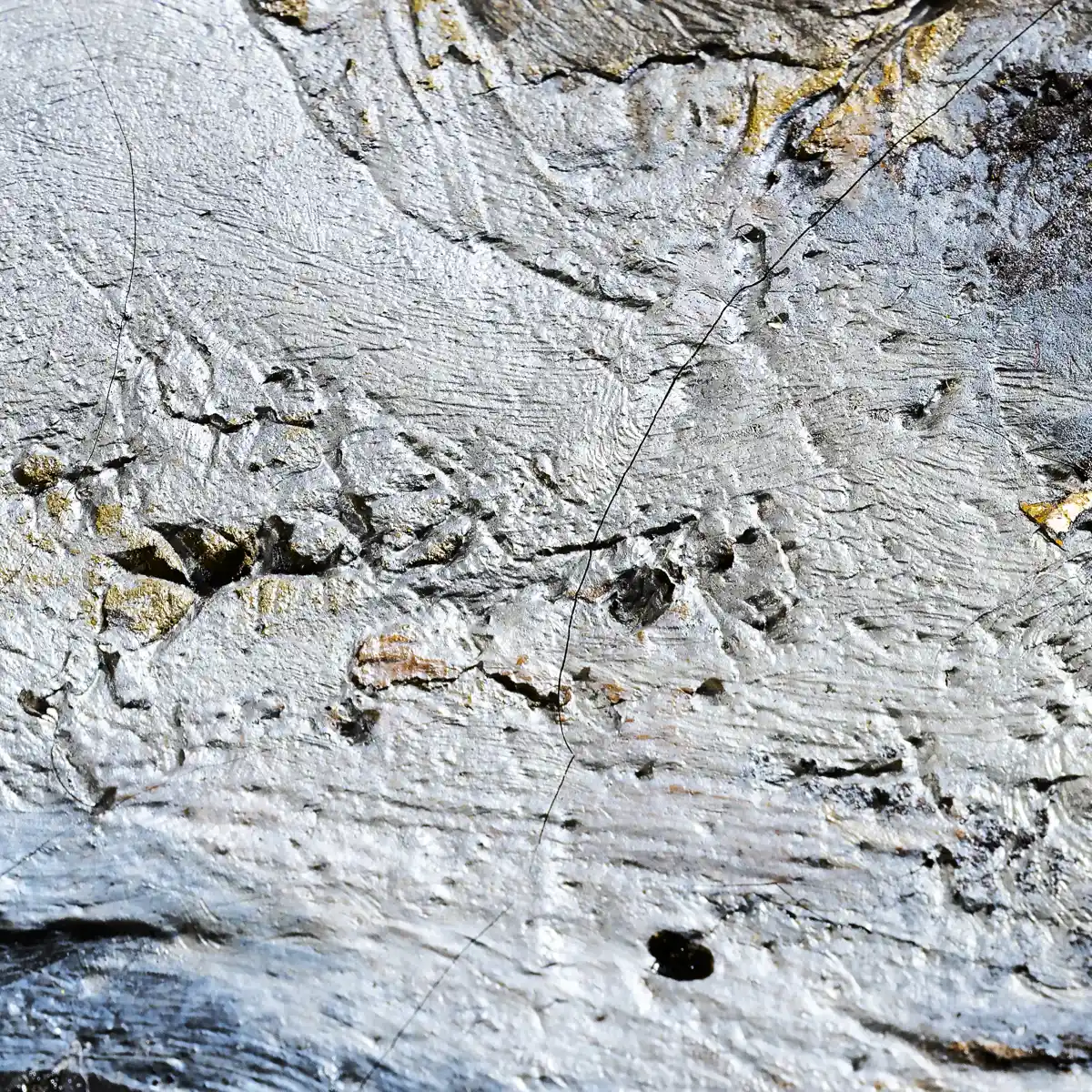 inscription 026d64d01073dc6ac040e3254fb81650cdd89b1c23b49f4b17b6f441a4dd333ci0