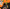 inscription 1031a2396f4fca5a365365b0089c1c98b638d9917f7106dd212ccc9747c2b972i0