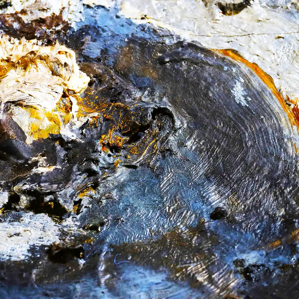 inscription 3f11a891bccca8dc620370ac361003141a1f6487f352aa5062218db23ee782cei0