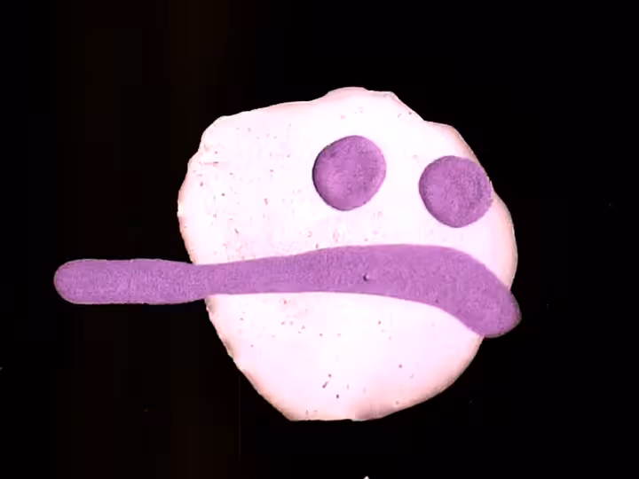 inscription 46126dda16a5e0c62aa61dba977f89b88fb92d11610a21d6e1c53e2ae8c3d5d2i24