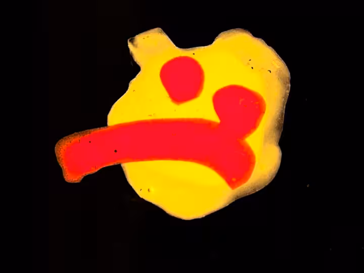 inscription 46126dda16a5e0c62aa61dba977f89b88fb92d11610a21d6e1c53e2ae8c3d5d2i27