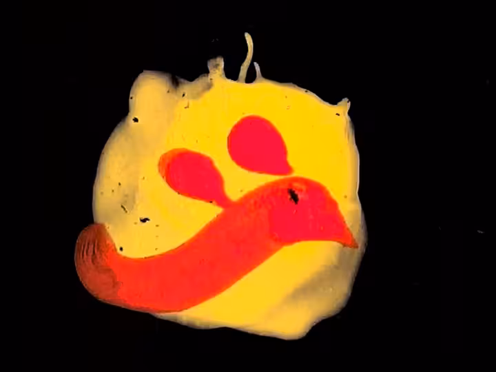 inscription 4ca6d547a297bfe6b3df90167bc254d9dcd56dc6140e570aec586f2980a7999fi15