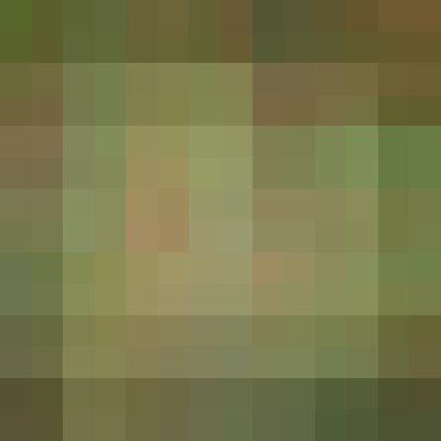 inscription 4cf3c7059a6484517a162f9790c8c079ef125cbcfc875236ab3a171ab3b54a25i0