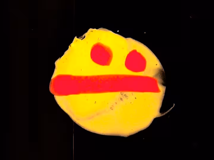 inscription 547fa32ad1c13d91bbbe4f4d6b3286912e2506db251d21ae63085cdcdd655692i11