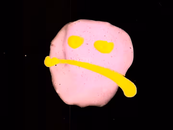 inscription 547fa32ad1c13d91bbbe4f4d6b3286912e2506db251d21ae63085cdcdd655692i29