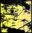 inscription 602ca46e3e885957367153d7d7b16e5ba26bd7eef085f08a14d4c462c93cb740i0