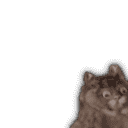 inscription 7b0c3a3b72142d06169f85309e54ea48f8304e74cd09865d66424117517fbdd1i20