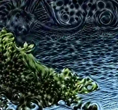 Image 43/60