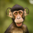 inscription 922e5626ba3c0131c117b4a38b1cc2ff5825f25903d5a26dfdce4ac2827f631ei0