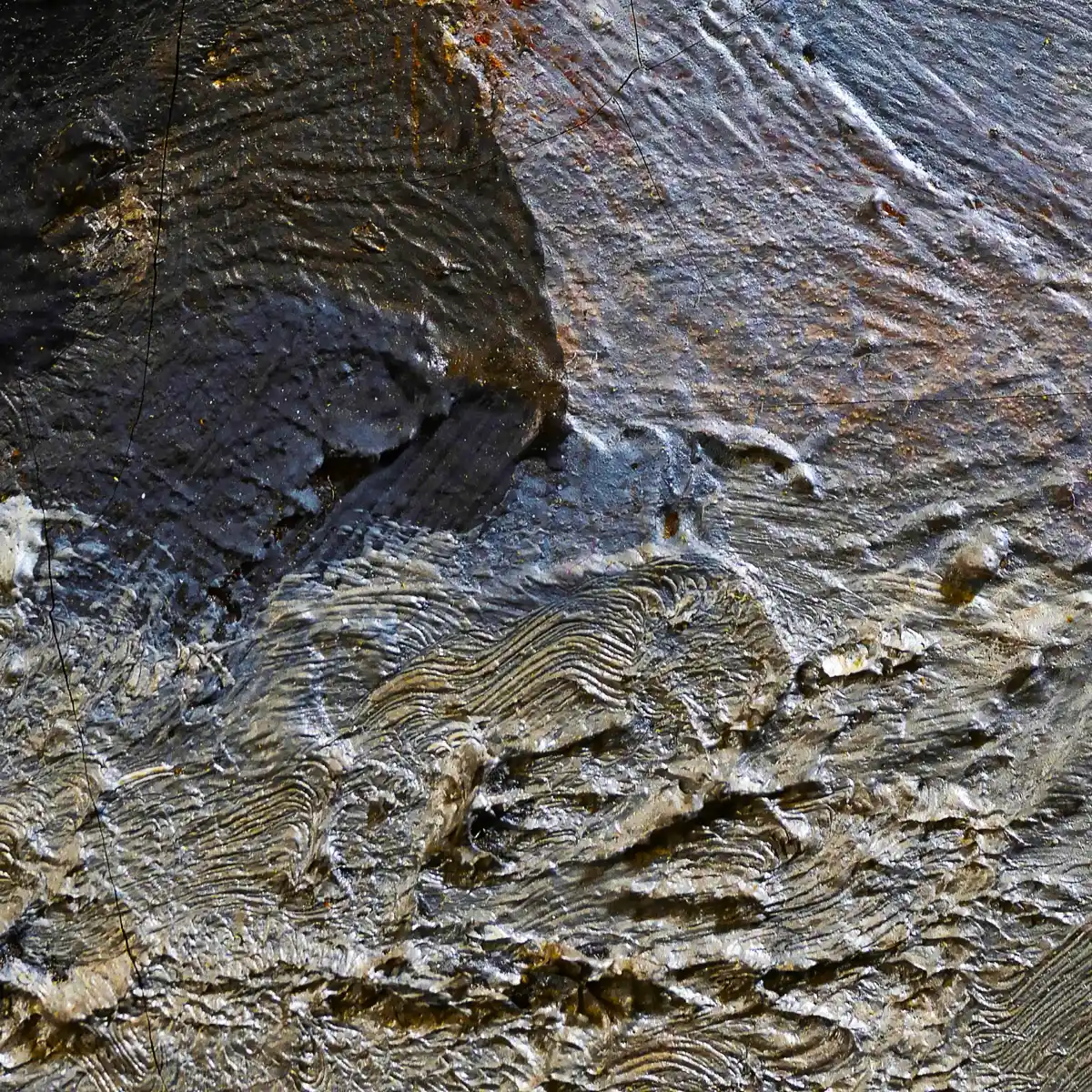 inscription aa98c929769ffbf372a2f84e883cd9ea7b1d4b829591d7f02796562a16014ee5i0