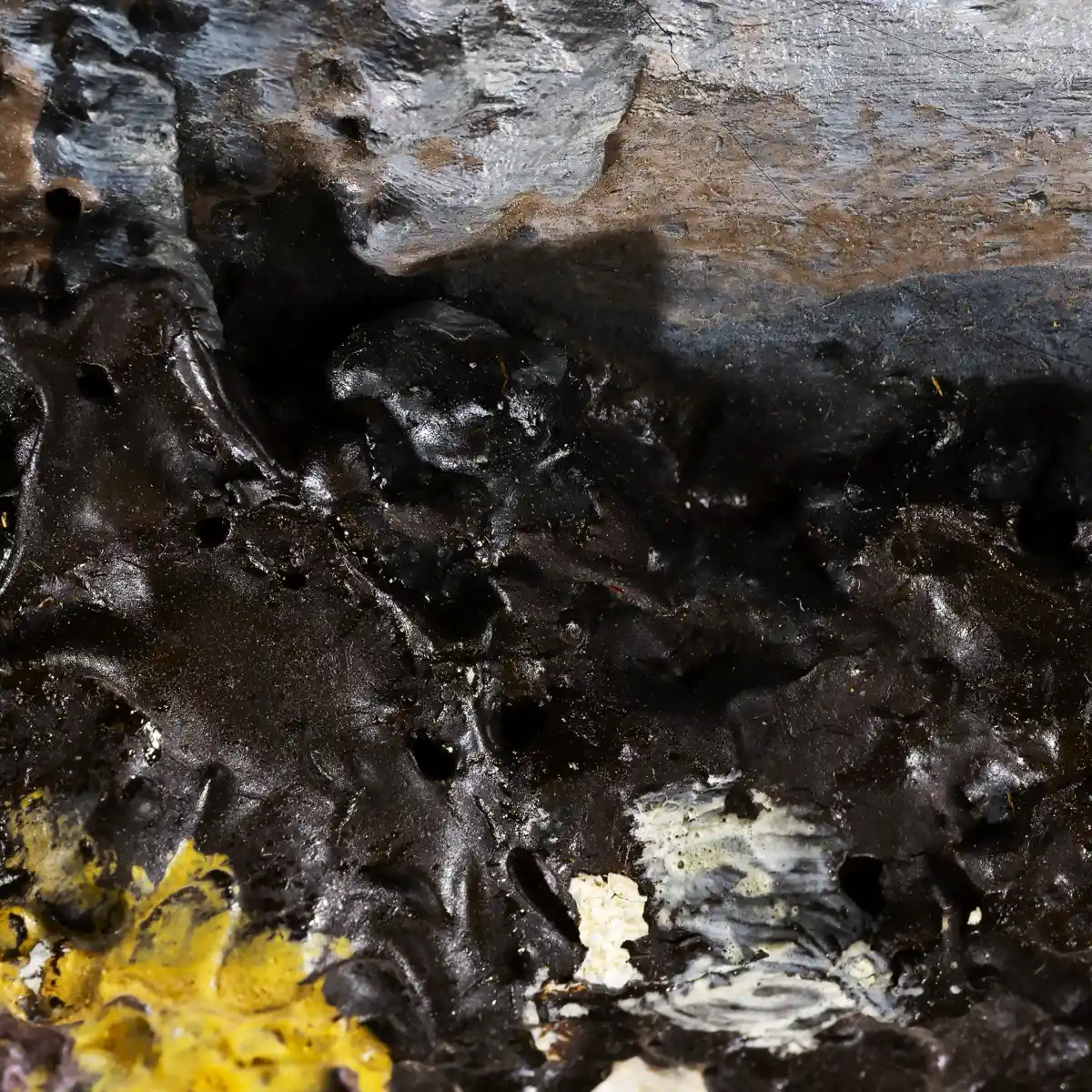 inscription b43b2f83aa4b5b607e2fc14f7b40598308cbb67a85f853a79f5c59ef052fe2fei0