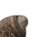 inscription be0d08c34ec5c8404caba54a577d4d4cf12dc43911c580a6fe7d2204e784c0f0i10