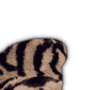 inscription be0d08c34ec5c8404caba54a577d4d4cf12dc43911c580a6fe7d2204e784c0f0i13