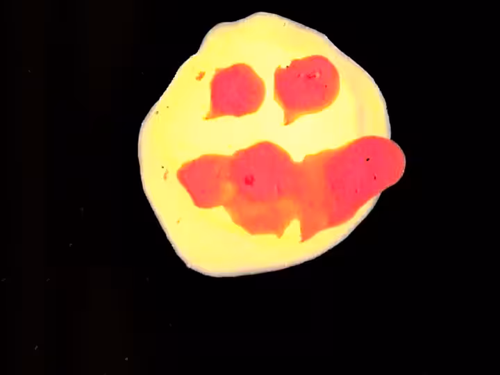 inscription c3074dbdf68103cb2ea8364c22be5ee1800088a4c1d3c4d91e7c5e76d1ce7bb2i16