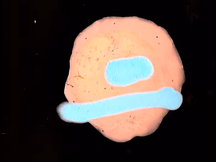 inscription c3074dbdf68103cb2ea8364c22be5ee1800088a4c1d3c4d91e7c5e76d1ce7bb2i22