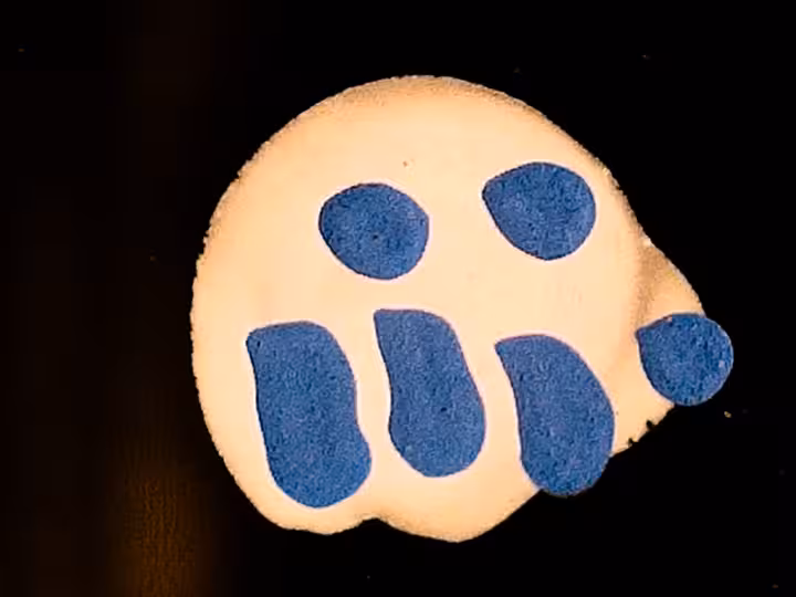 inscription c3074dbdf68103cb2ea8364c22be5ee1800088a4c1d3c4d91e7c5e76d1ce7bb2i7