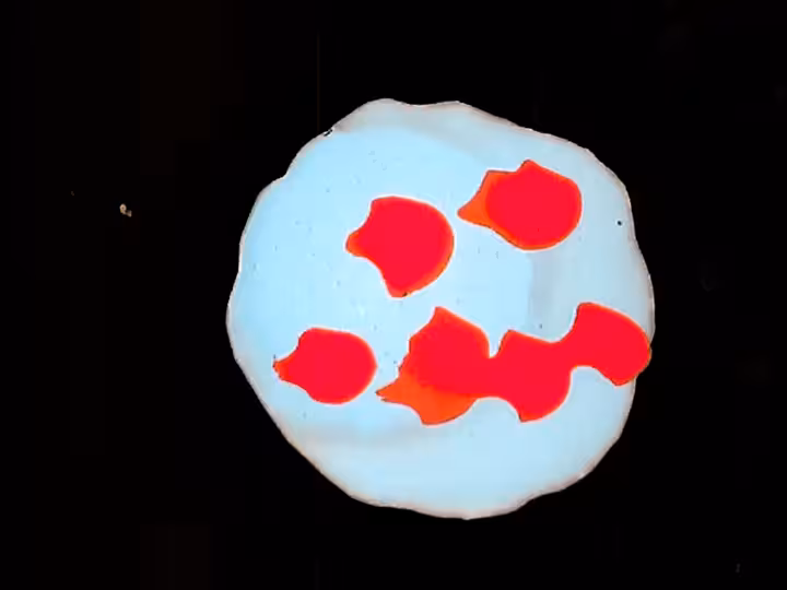 inscription c31a060d5c5c95643cc2a0dbeca45eb89efd1f676442f80231410affb694e2a6i0