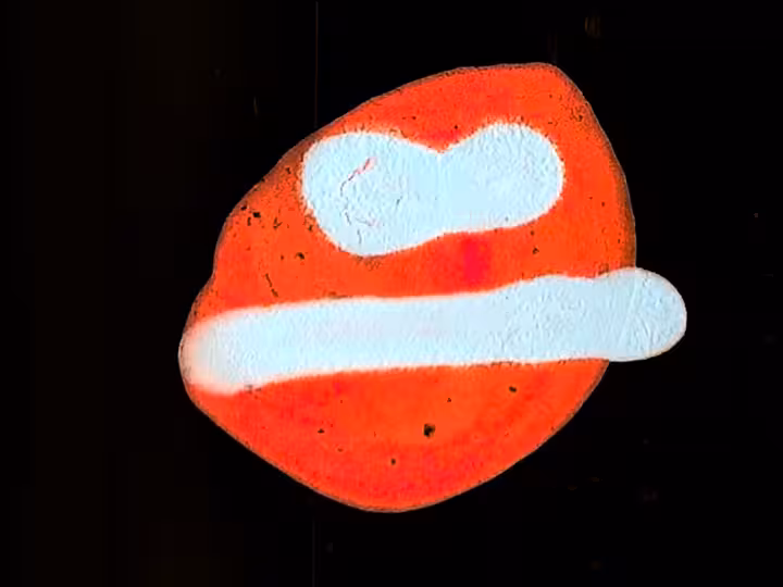 inscription c31a060d5c5c95643cc2a0dbeca45eb89efd1f676442f80231410affb694e2a6i1