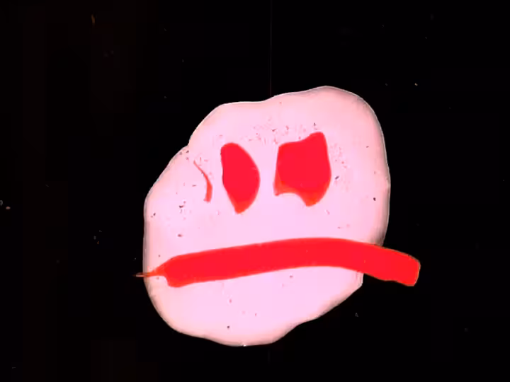 inscription c31a060d5c5c95643cc2a0dbeca45eb89efd1f676442f80231410affb694e2a6i12