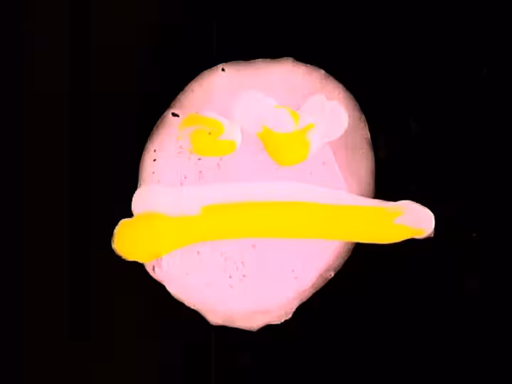 inscription c31a060d5c5c95643cc2a0dbeca45eb89efd1f676442f80231410affb694e2a6i2