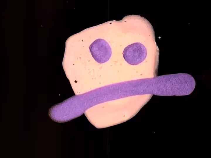 inscription c31a060d5c5c95643cc2a0dbeca45eb89efd1f676442f80231410affb694e2a6i23