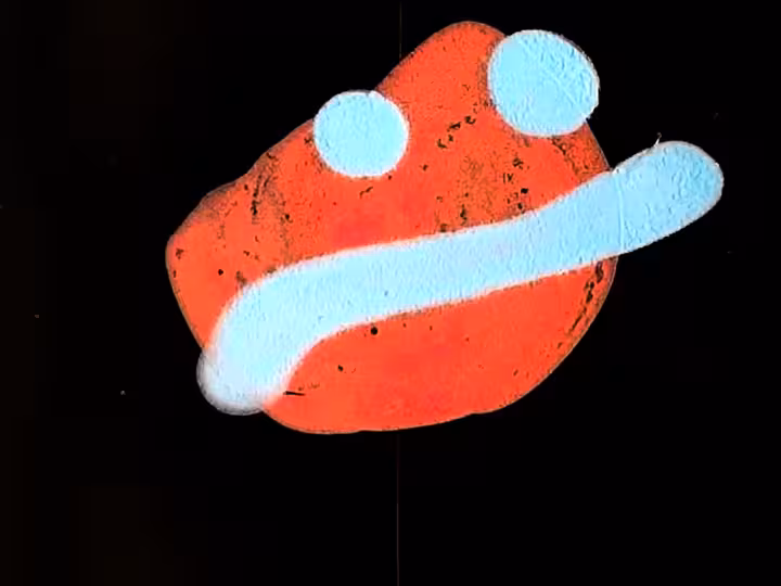 inscription c31a060d5c5c95643cc2a0dbeca45eb89efd1f676442f80231410affb694e2a6i26