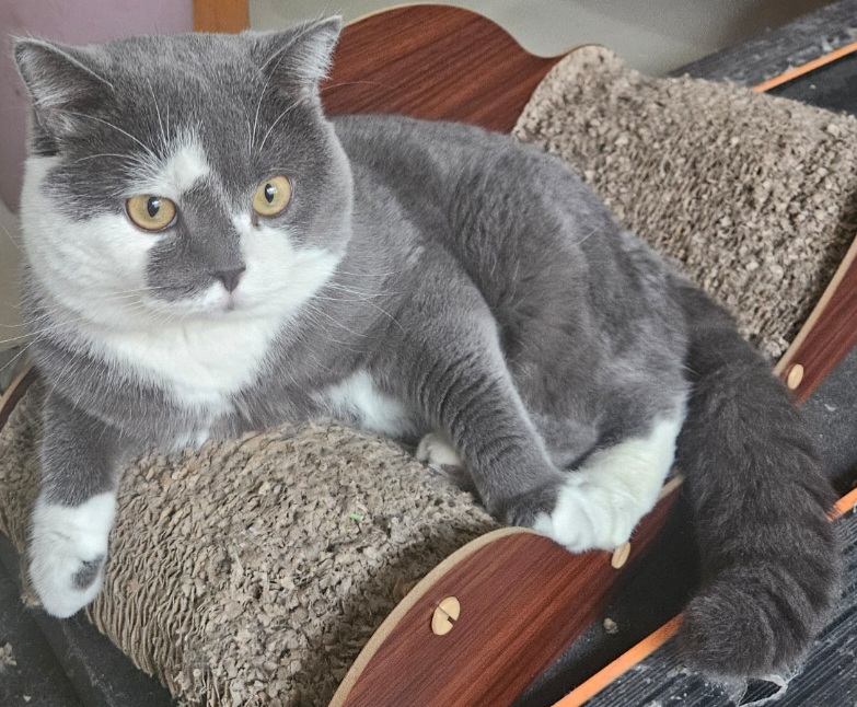 inscription c79251f852bef51a2f8fc3d59a2ba126bf03bf16dd7709e94f8f4a453da0e5c5i0