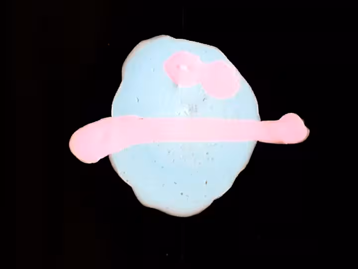 inscription cdf377d4fb41b137f121d62c96e05d688c2aa5b290ac2539f3e909b48b0ee4d7i1