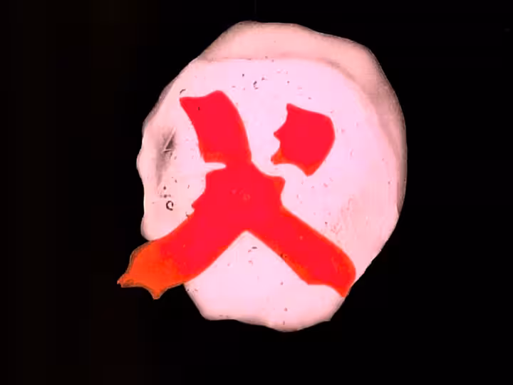 inscription cdf377d4fb41b137f121d62c96e05d688c2aa5b290ac2539f3e909b48b0ee4d7i19