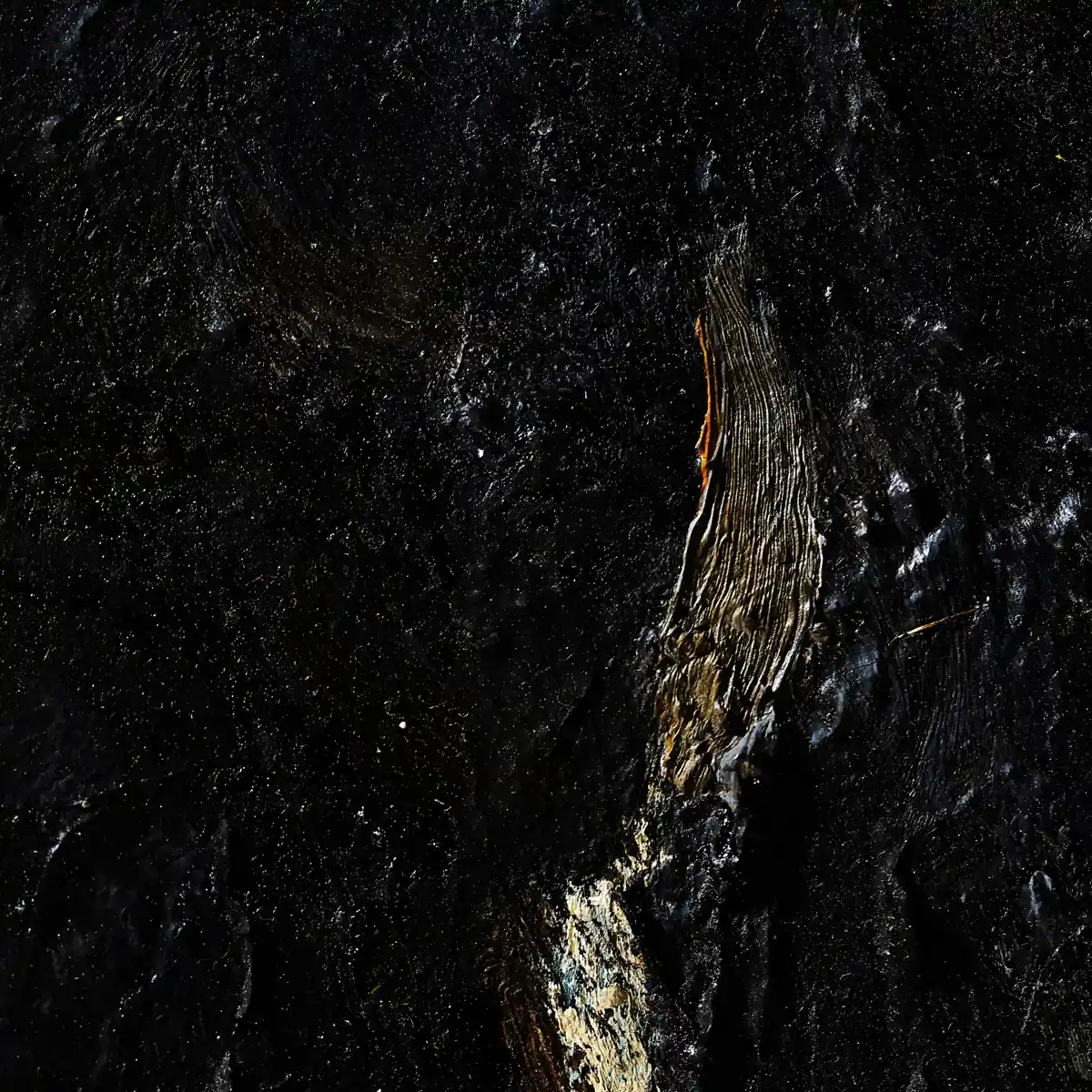 inscription e063f9fcb50268244e5566bd320dab58c37c2b8b8412c39a4b9e45c239f007f3i0