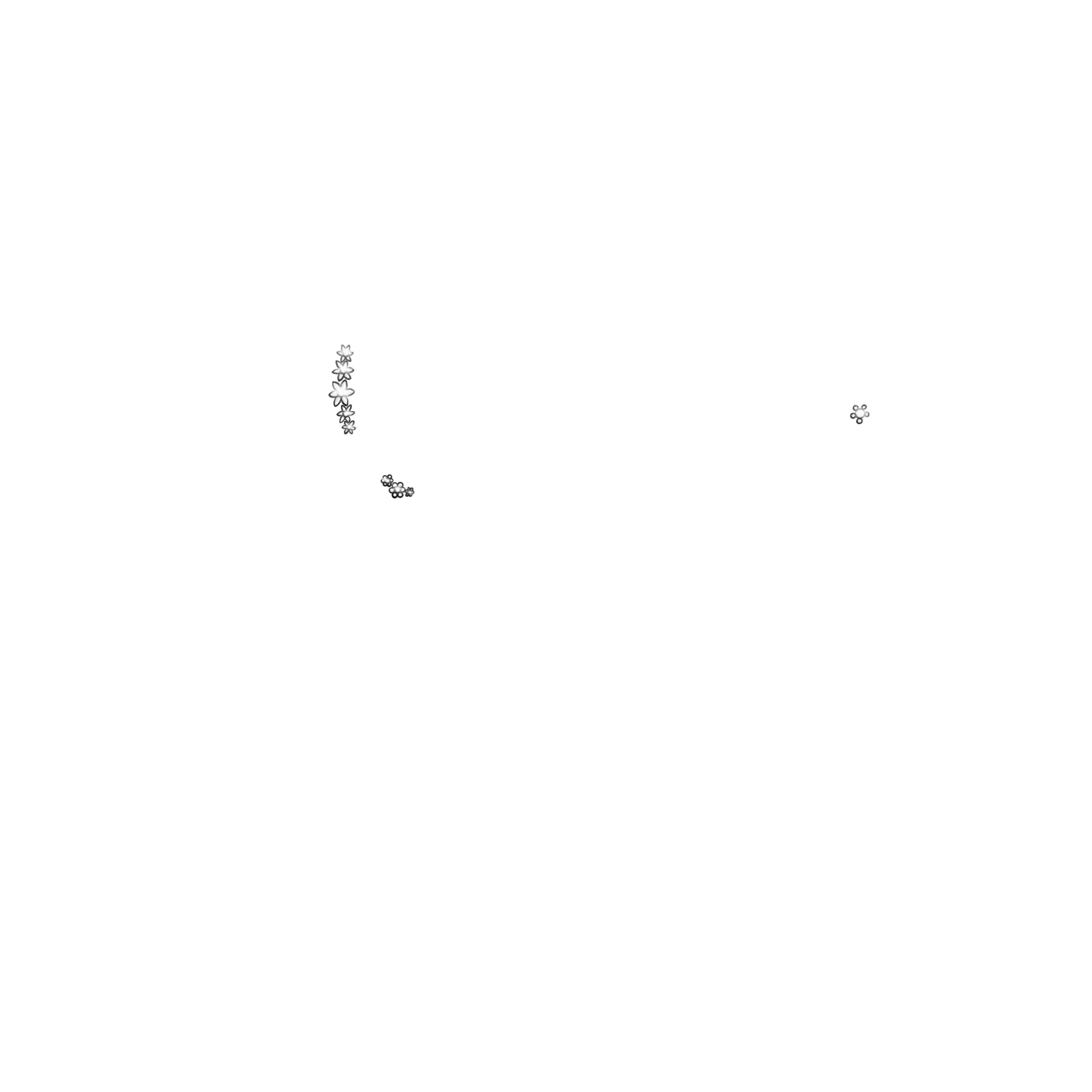 inscription e50ad77bae431b05a3d7b8323cfff8df1c569c1dfba026ecf8ab35d18e55aeedi0