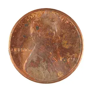 inscription ffff7193881f4ed9cec67e1bc0b8d1df4fd3a56b41942fbb21c6cc789dda270ci0